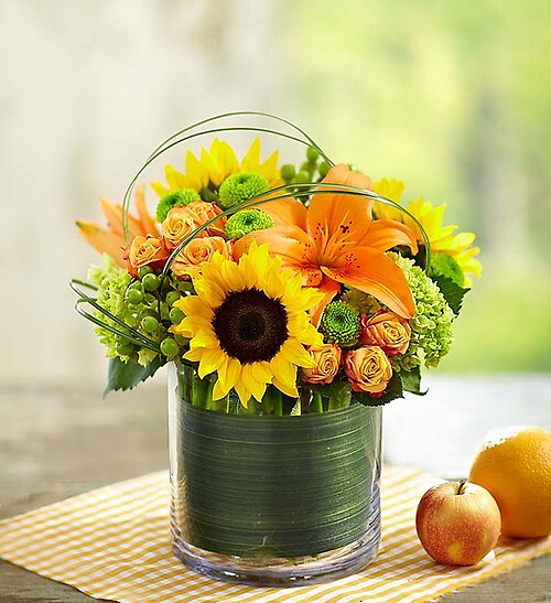Summer Celebration
