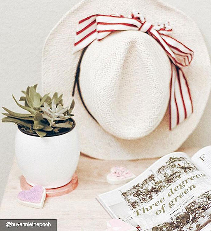 Succulent Garden by Real Simple