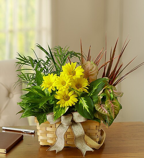 Bright Day Basket