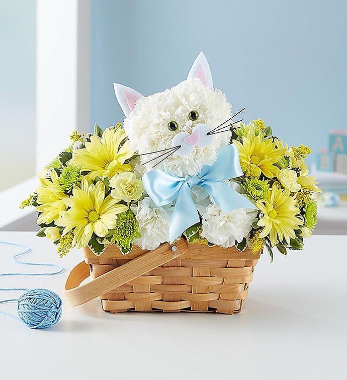 Fabulous Feline Boy or Girl