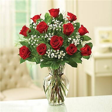 1 DOZEN RED ROSE ELEGANCE PREMIUM
