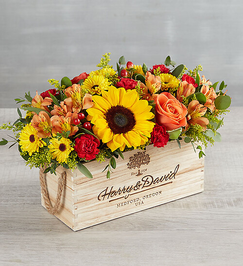 Harvest Spice&amp;trade; Centerpiece