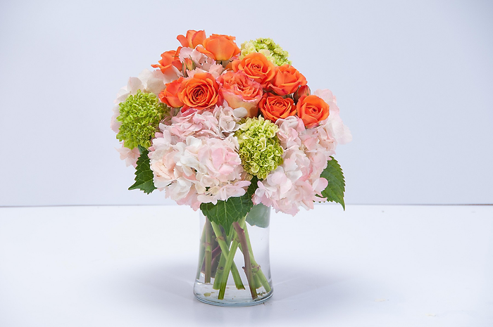 Beauty in Blossom