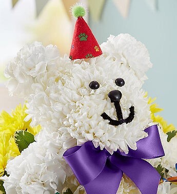 Birthday Beary