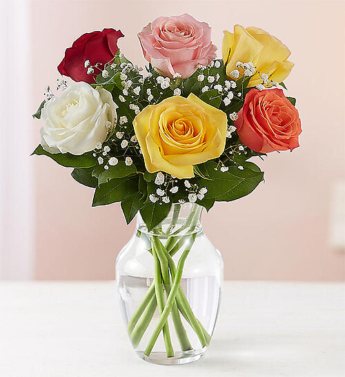 Love&#039;s Embrace Assorted Roses