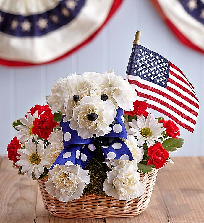 Yankee Doodle Doggie