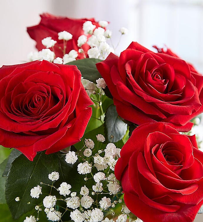 Loves Embrace Red Roses