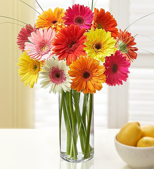 Happy Gerbera Daisy Bouquet