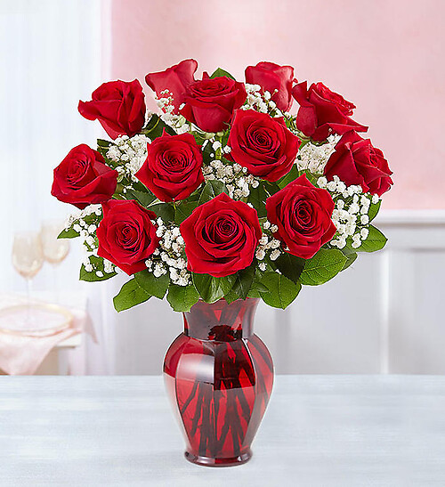 Scarlet Serenade