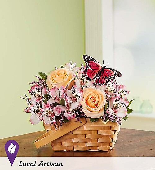 Fluttering Beauty