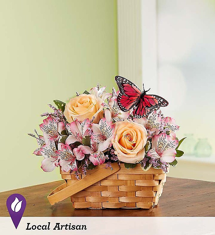 Fluttering Beauty