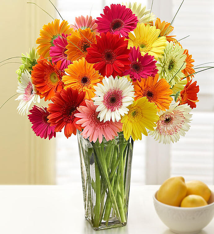 Happy Gerbera Daisy Bouquet