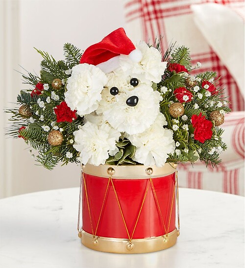Santa Paws&amp;reg;