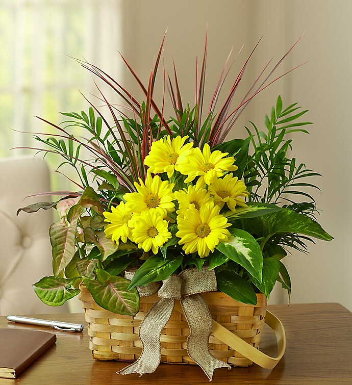 Bright Day Basket