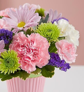 Lotsa Love Welcome Baby Girl