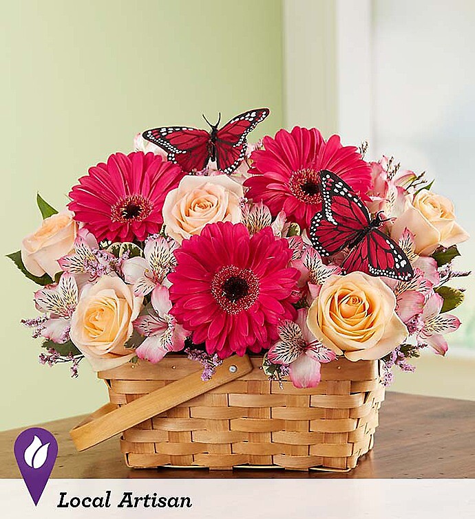 Fluttering Beauty