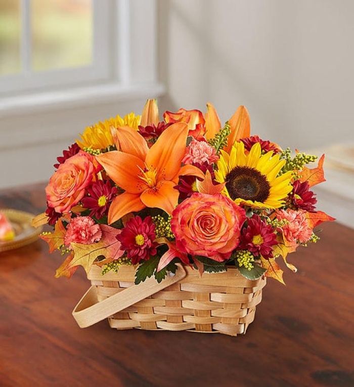 Fields of Europe for Fall Basket