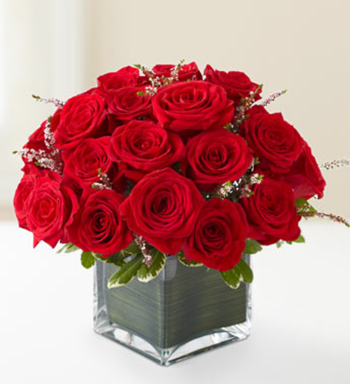 Rose Romance