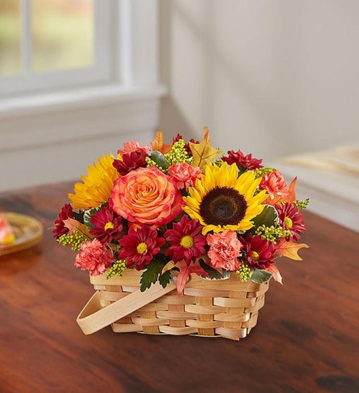 Fields of Europe for Fall Basket