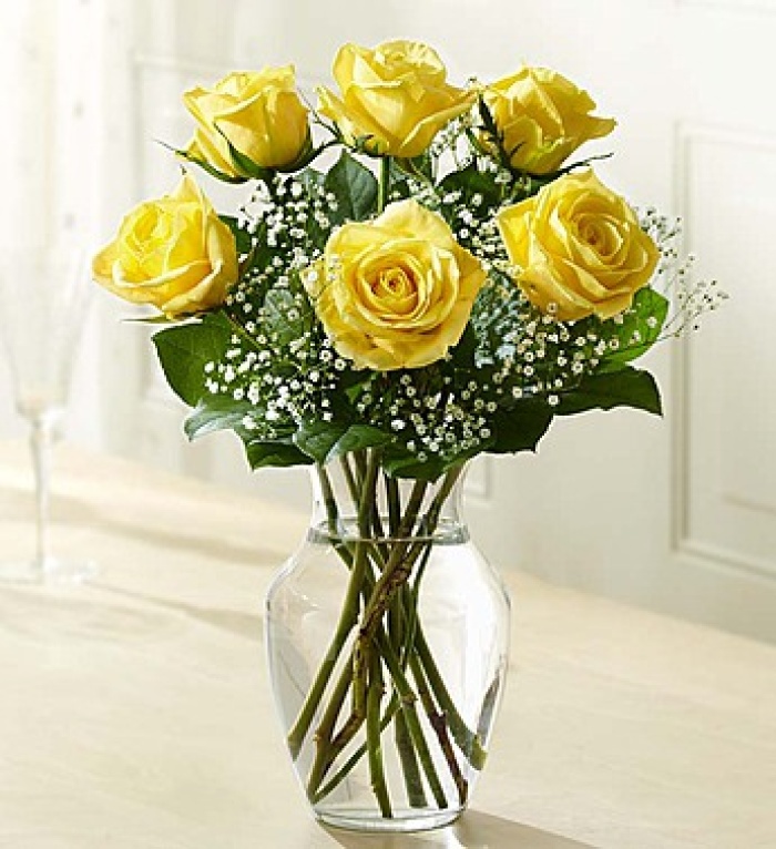 Love\'s Embrace Yellow Roses