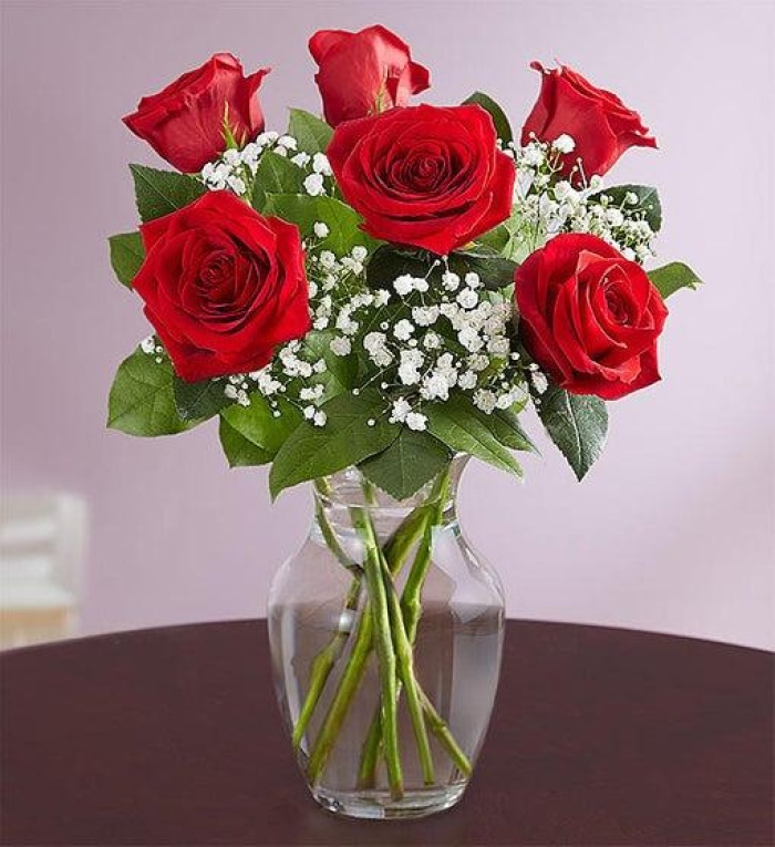 Loves Embrace Red Roses