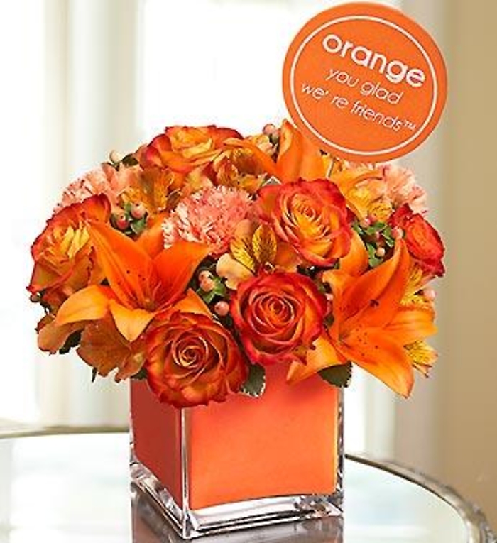 Orange You Glad We\'re Friends