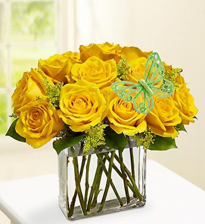 Modern Roses - One Dozen Yellow