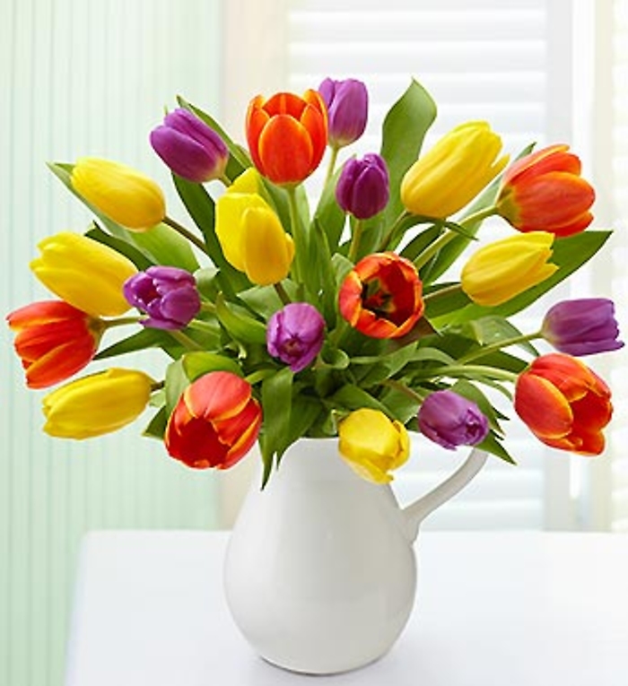Pitcher Full of Tulips