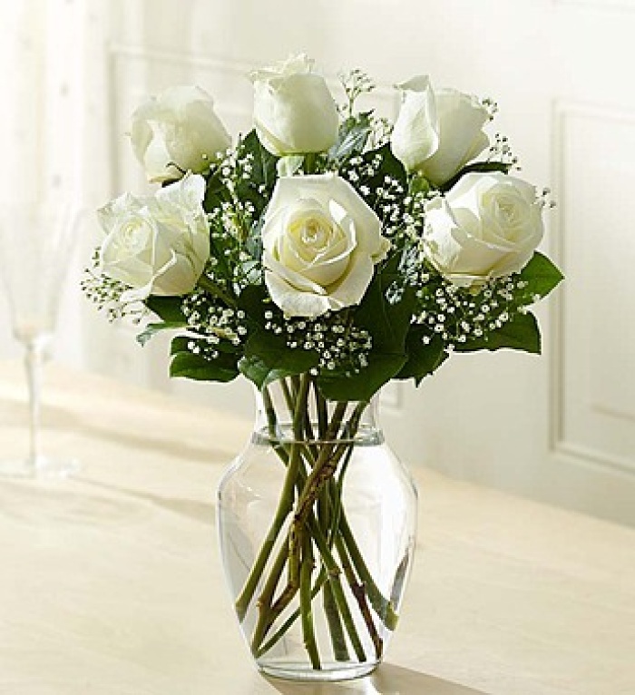 Love\'s Embrace  White Roses